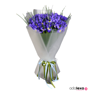 buchet 35 iris albastru 300x300 - Acasă - Florarie Online Curtea de Arges