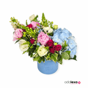 Ar blue hortensia 300x300 - Acasă - Florarie Online Curtea de Arges